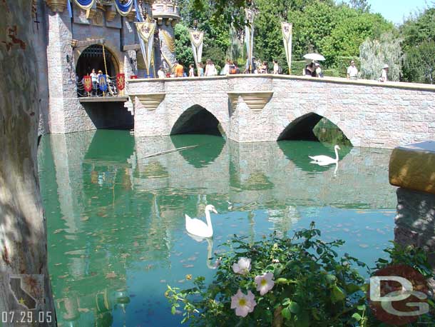 Swans in the moat..