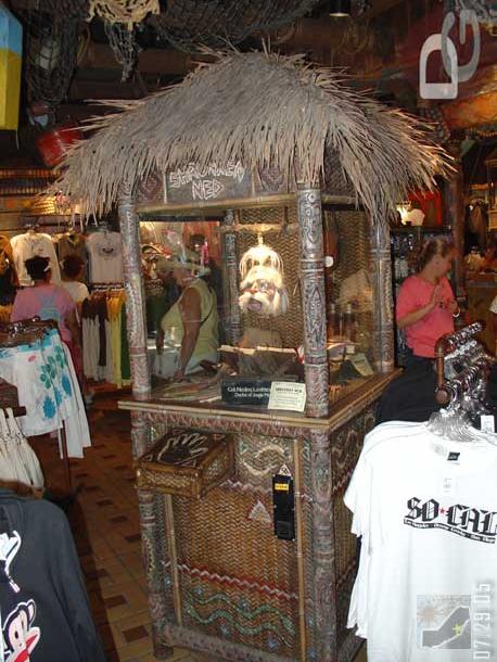 Shrunken Ned hanging out in Adventureland