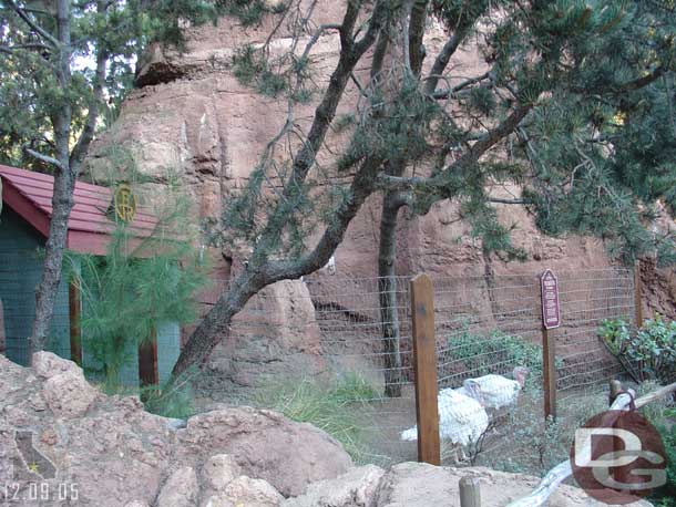 The two presidential turkeys were out front of the ranch area