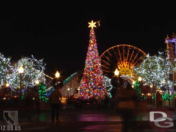 The DCA tree area