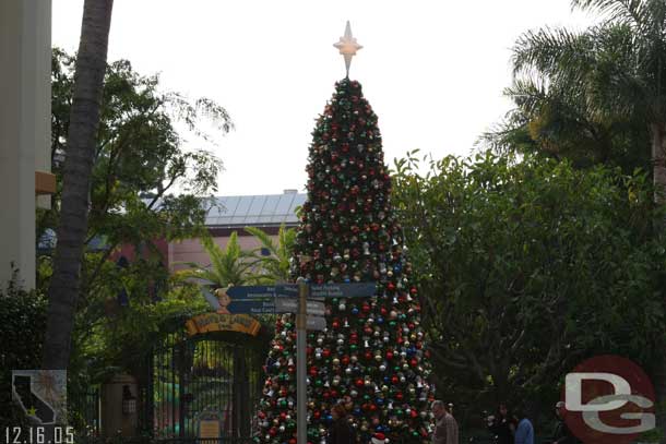 The tree is right near the pool entrance