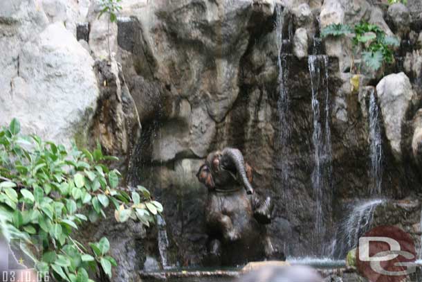 Now a series of Jungle Cruise shots