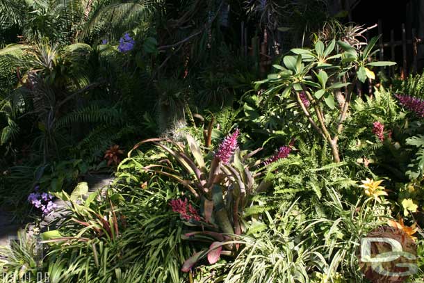 Some random plant shots in Adventureland