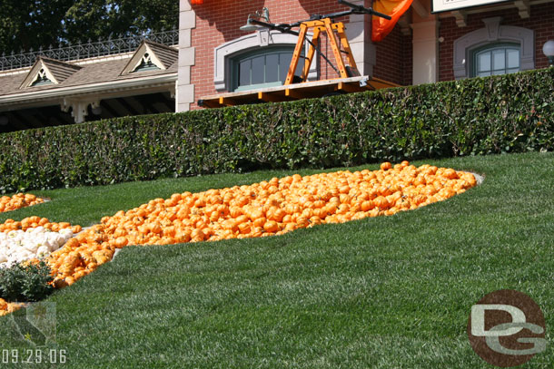 A closer look at the Mickey pumpkins