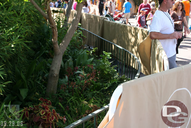 Some painting in Adventureland