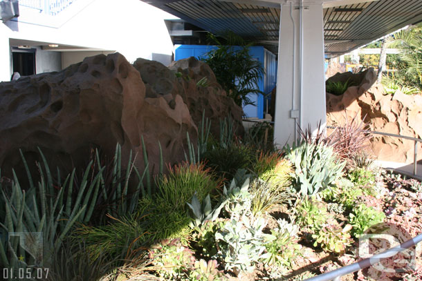 A look at the plants around the queue area