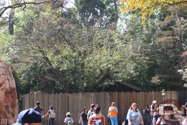 Walls are still up around the shack near the Big Thunder Ranch entrance