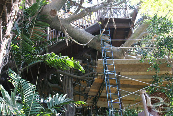 Work on the tree house continues