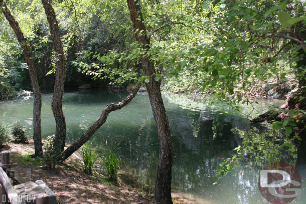 Water is in the pond across from Big Thunder again