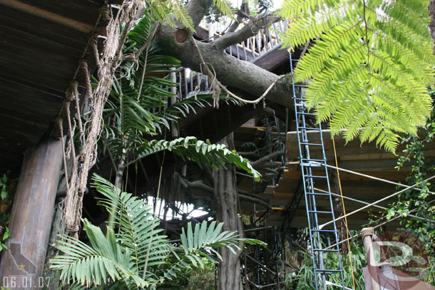 Not much visible progress on the Treehouse