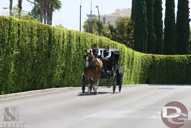 It picked up a family and took off, the horse was jogging (or I guess a fast trot)