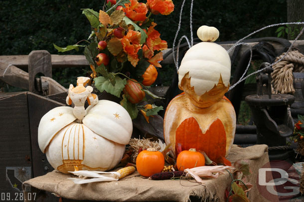 Some of the carved pumpkins