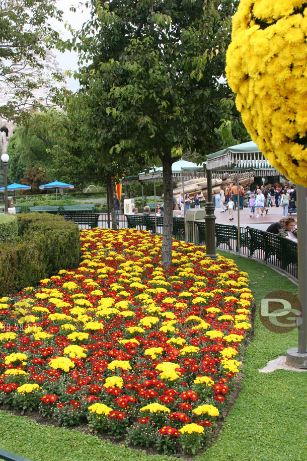 Some of the flowers in the hub, I called this the USC section..