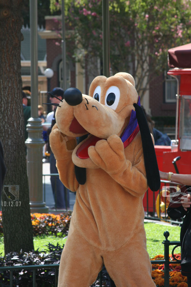 Pluto with his Halloween costume on (he has something around his neck, that is it)