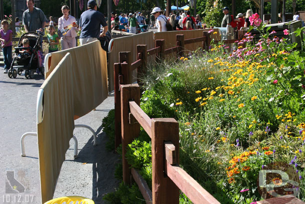 Some railing work near bugs