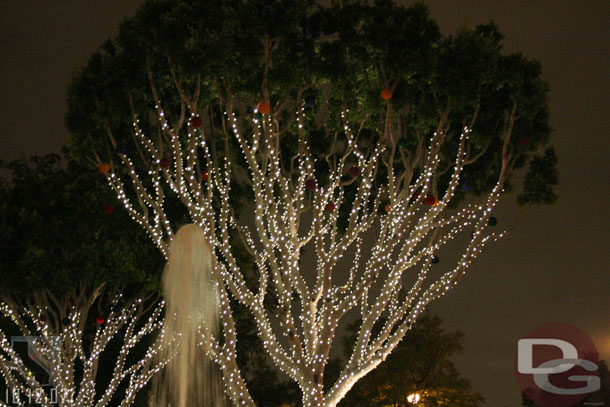 Noticed the Christmas lights (the colored balls) in the Downtown Disney trees