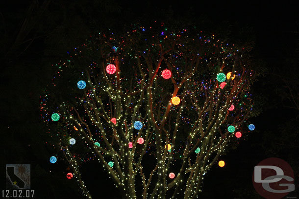 The trees at Downtown Disney, with their holiday lights