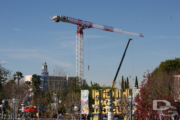 The cranes from inside the park