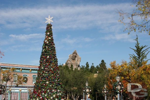 The DCA Christmas tree