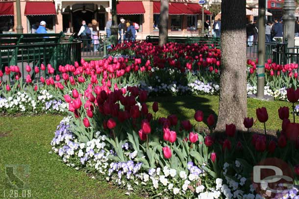 Much of the park is in full bloom..