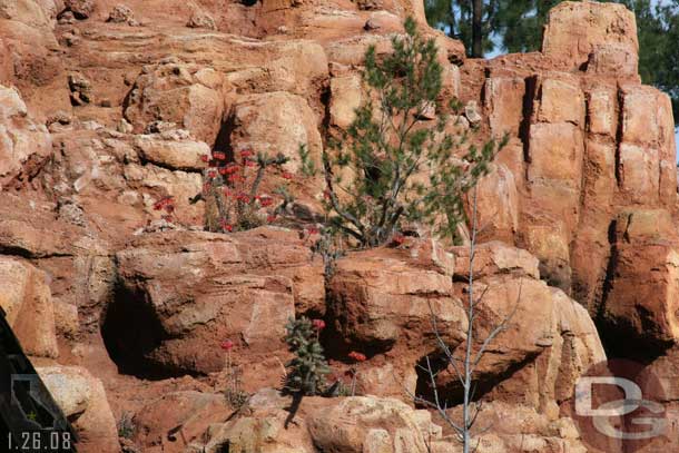 Some random Big Thunder shots (which was closed/broken down)