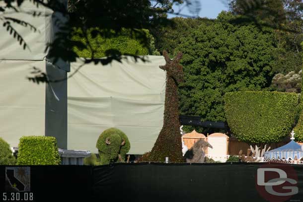 A look over the tarps at Small World, looks like a couple topiaries could use some more water