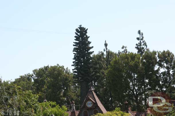 A decent view of the tree that supports Tinker Bells flight.