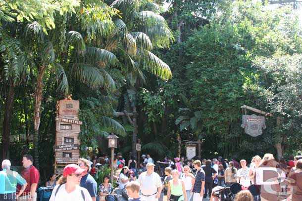 Quite a few people in Adventureland