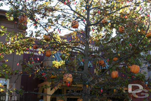 Some day light shots of the Halloween tree in Frontierland