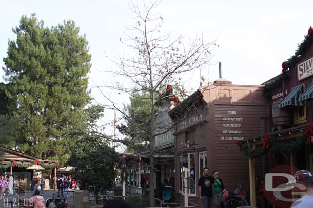 The Halloween tree looks rather bare since the decorations were removed.