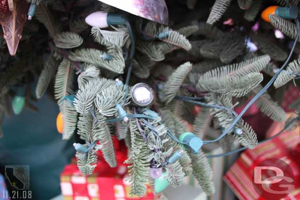 A close up of the new tree on Main Street.  Notice the LED.  That is for the snow events.