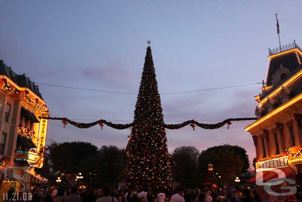 5:00pm Tree lighting time.