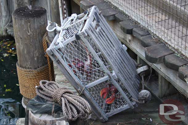 For some reason I never noticed there were lobster in some of the traps.