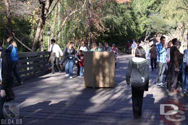 Heading down the Big Thunder Trail noticed this in the middle of the bridge.