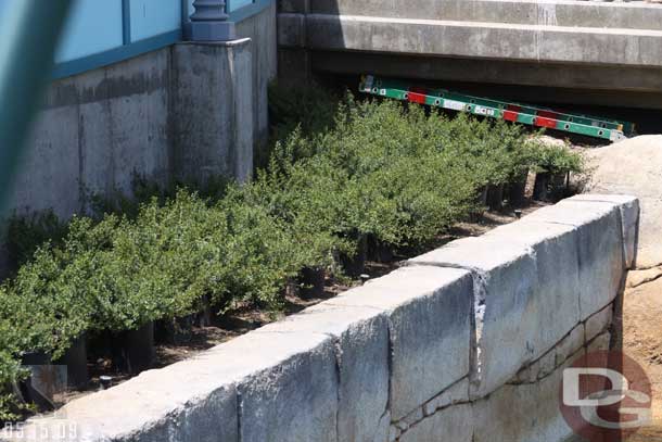 The plants are still in pots around the walkways (wonder if these will go in or are just some temporary green)