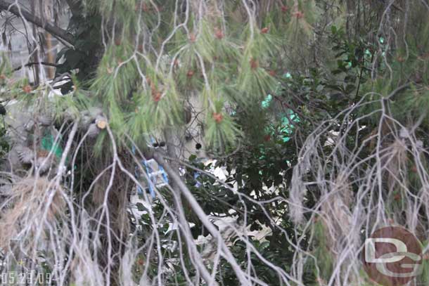 Tried to get a shot of the Fantasmic dock area, spotted the new croc through the trees but not much else and the photos are not that good..