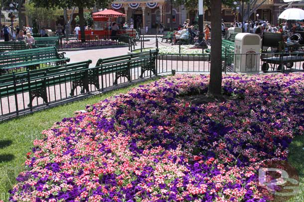 The 4th of July flower beds in Town Square
