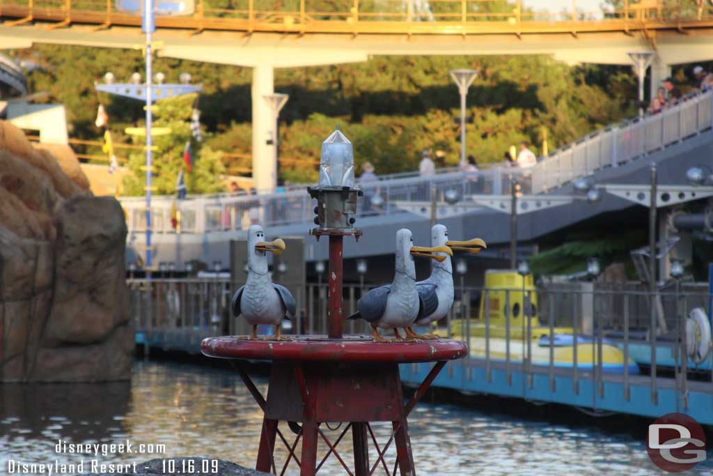 All three birds are now out in the Subs lagoon