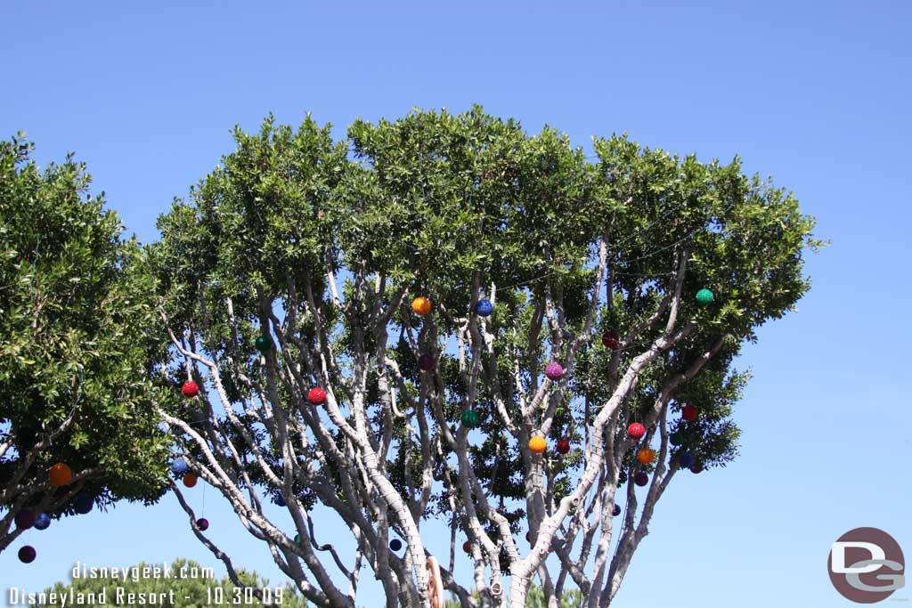 Holiday lights are up in the Downtown Disney trees