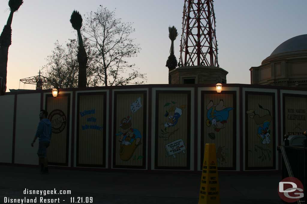 New palm trees in around the fountain