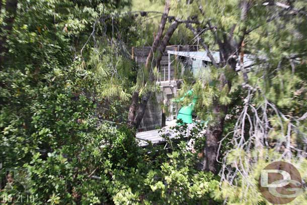 The trees looked a little thin in this area and you could see the gator from Fantasmic.