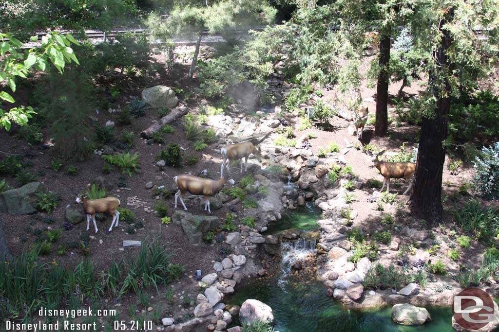 A new scene along the river.