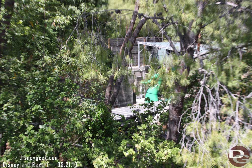 The trees looked a little thin in this area and you could see the gator from Fantasmic.