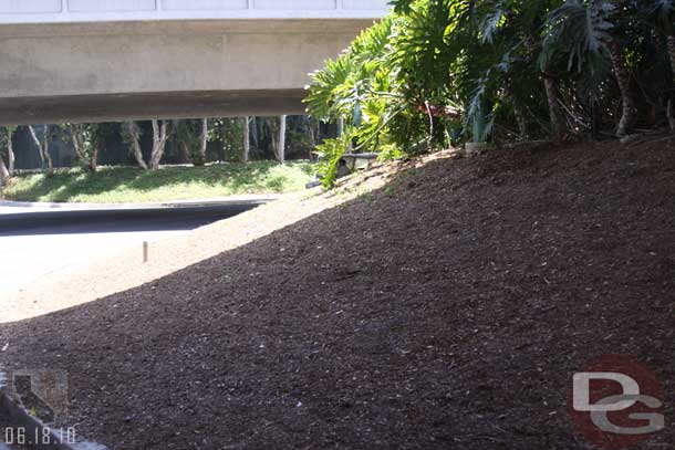 The plants along this section of the tram route were gone.. guess something new is coming.