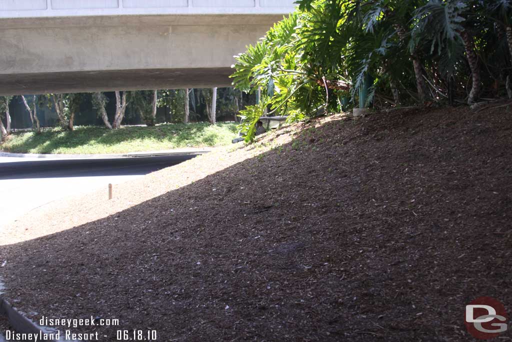 The plants along this section of the tram route were gone.. guess something new is coming.