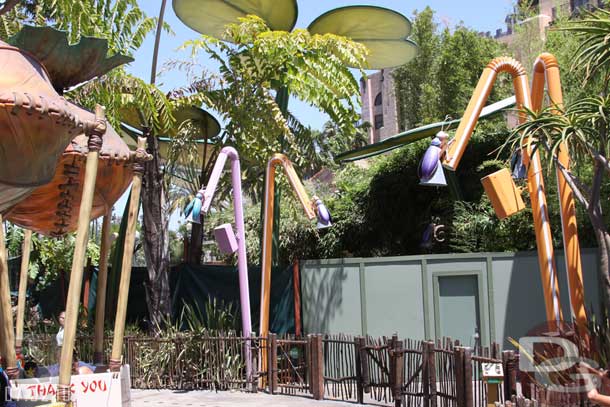 Between the walls and trees it is hard to see anything on the new pathway from Bugs Land to Tower of Terror.