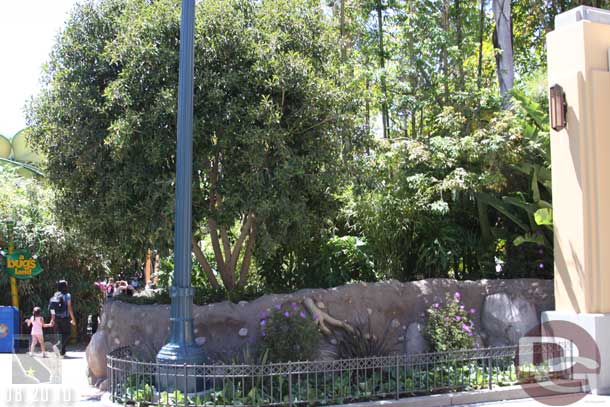 The rockwork and plants looking toward bugs