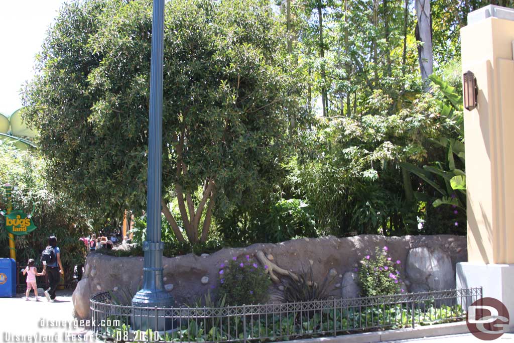 The rockwork and plants looking toward bugs