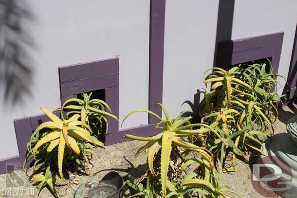 This surprised me.. this is the wall up around the old smoking area.  They actually took the time to build it around the plants.  Guess they are staying?