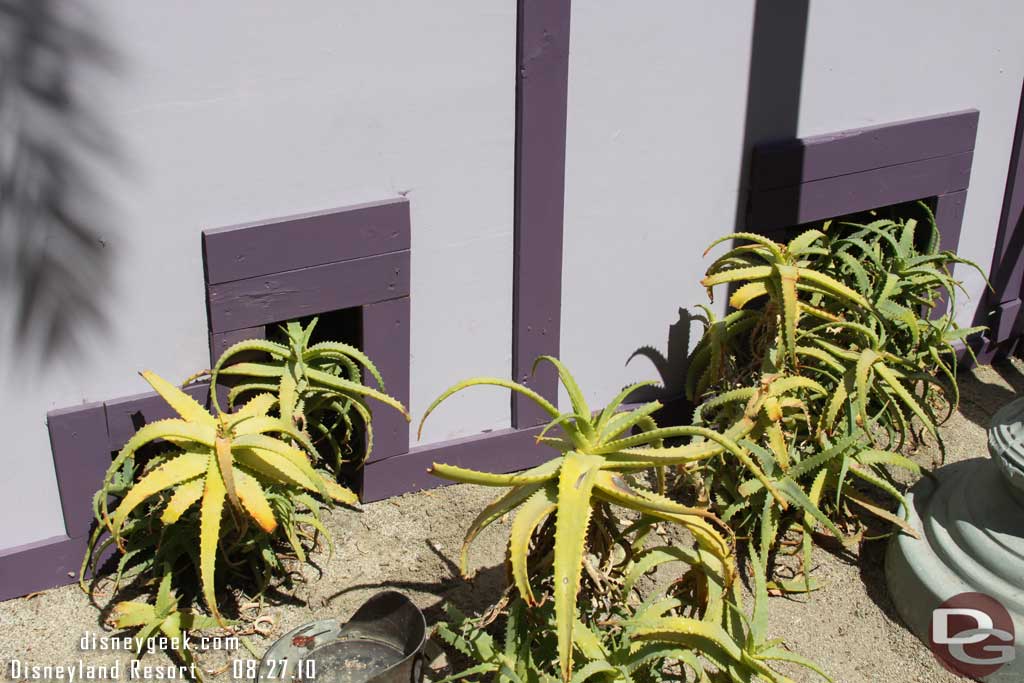 This surprised me.. this is the wall up around the old smoking area.  They actually took the time to build it around the plants.  Guess they are staying?